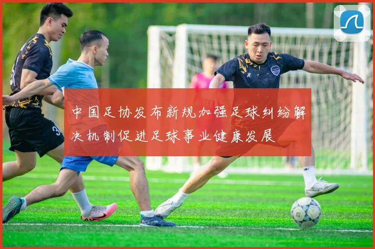 中国足协发布新规加强足球纠纷解决机制促进足球事业健康发展
